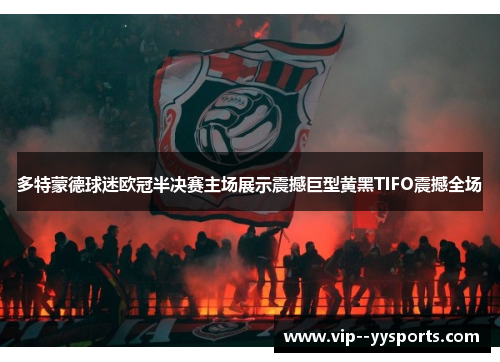 多特蒙德球迷欧冠半决赛主场展示震撼巨型黄黑TIFO震撼全场