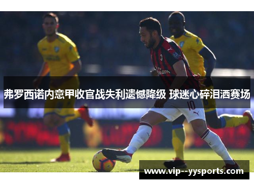 弗罗西诺内意甲收官战失利遗憾降级 球迷心碎泪洒赛场